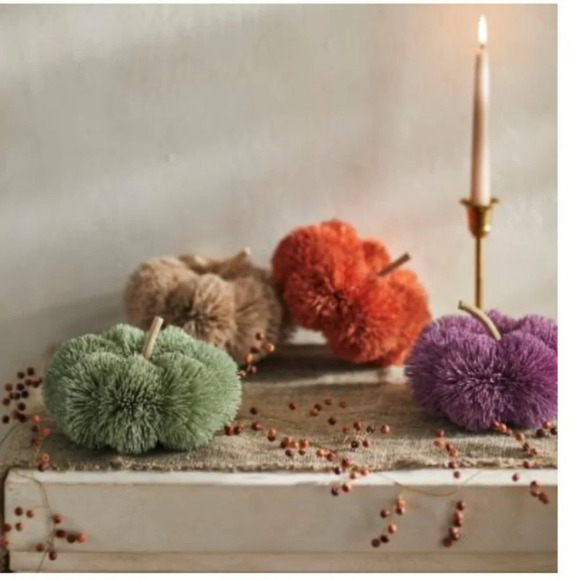 NWT ANTHROPOLOGIE TERRAIN Beige  BRUSH BOTTLE PUMPKIN - Picture 2 of 6